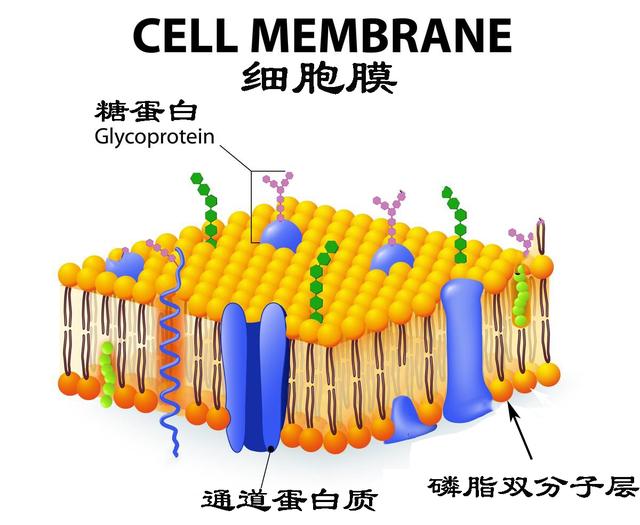 颜色辨别