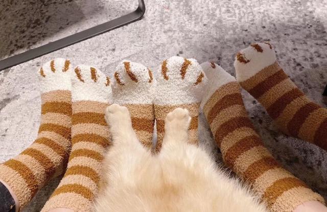 为何说穿袜子睡觉入眠更快更深？日本人长寿，跟他们穿袜子有关？