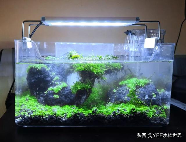 家用微型水过滤机