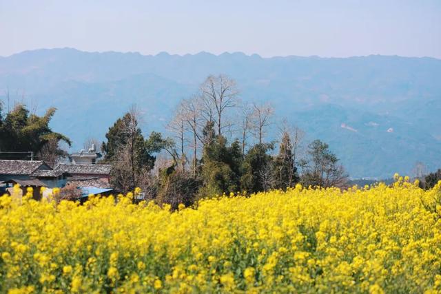 青岛是木工机械展闭馆时间