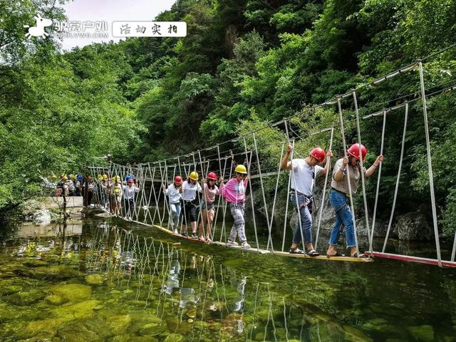 订制团建