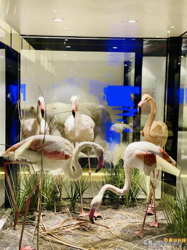 亲子打卡！科学探索，细菌好有趣啊，参观1000+件标本