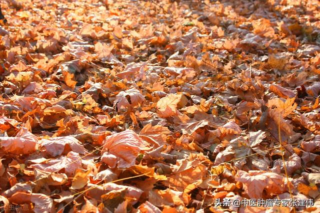中醫講“秋冬養陰”，應該如何做？可以多吃這幾種食物