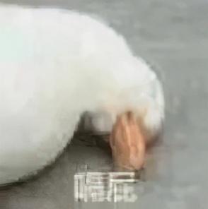 水杨酸引起皮肤角化异常