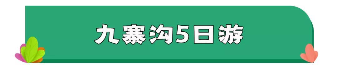 东川区双螺旋洗砂机
