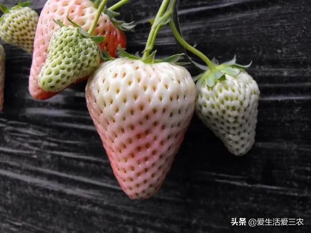 在农村卖一台制砂机