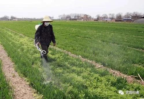 14种除草剂介绍 ，这样打药不出药害2