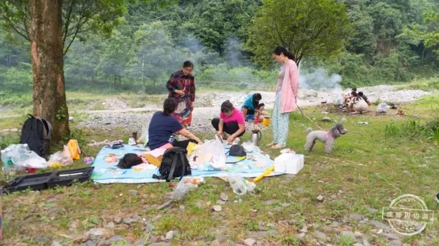 乐山石子洗砂机厂家