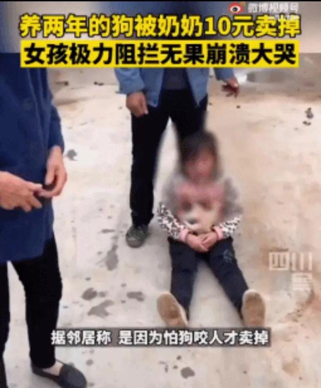 “只有拼命打压，你才足够抗挫”这个所谓的“真理”正在毁了孩子