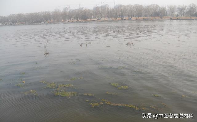 心脾两虚难自立，老中医辩证施治，方知心和脾对宗筋自立有多重要