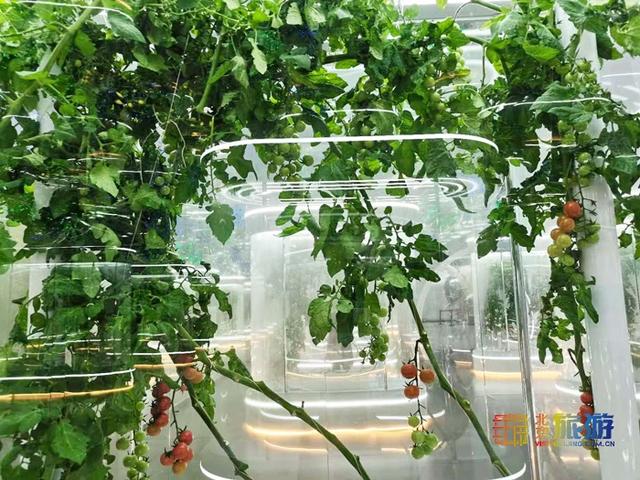 航天科技工程技术展北京