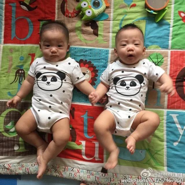 明星爱生多胞胎，盘点那些有名的多胞胎明星家庭