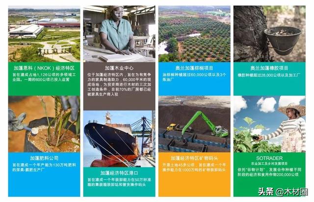 3月15日广州木工机械展