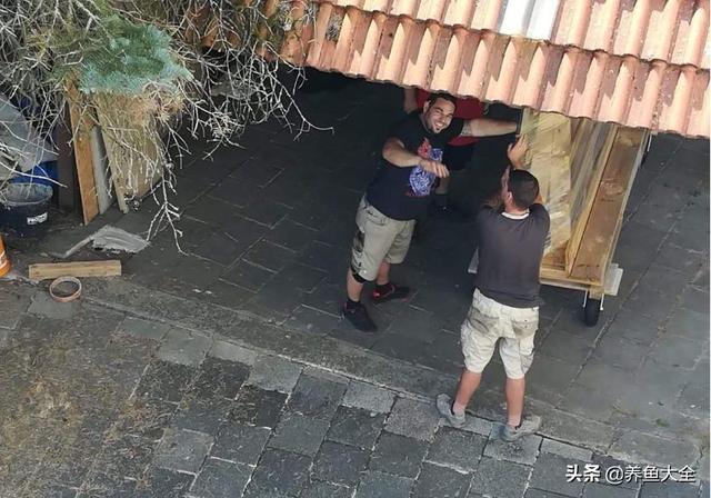 鱼缸制氧过滤机带装饰