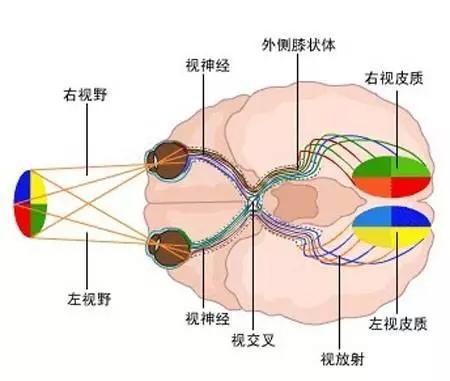 颜色辨别