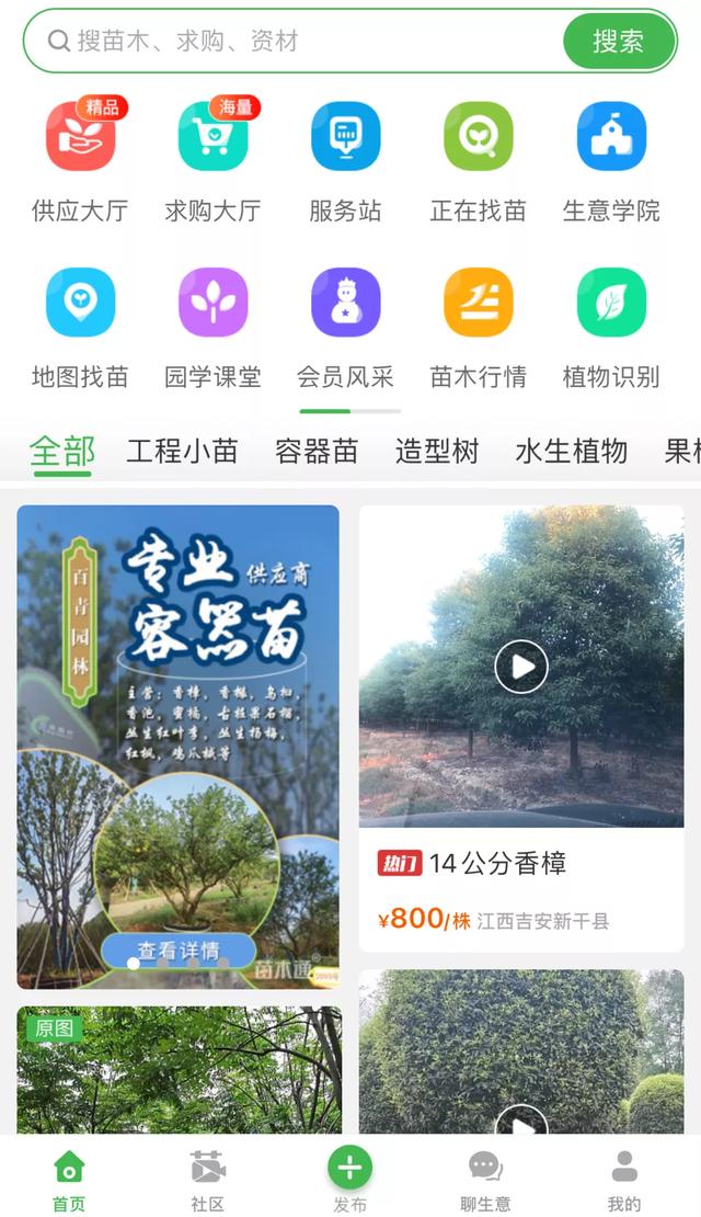 中国苗木网 园林绿化苗木基地