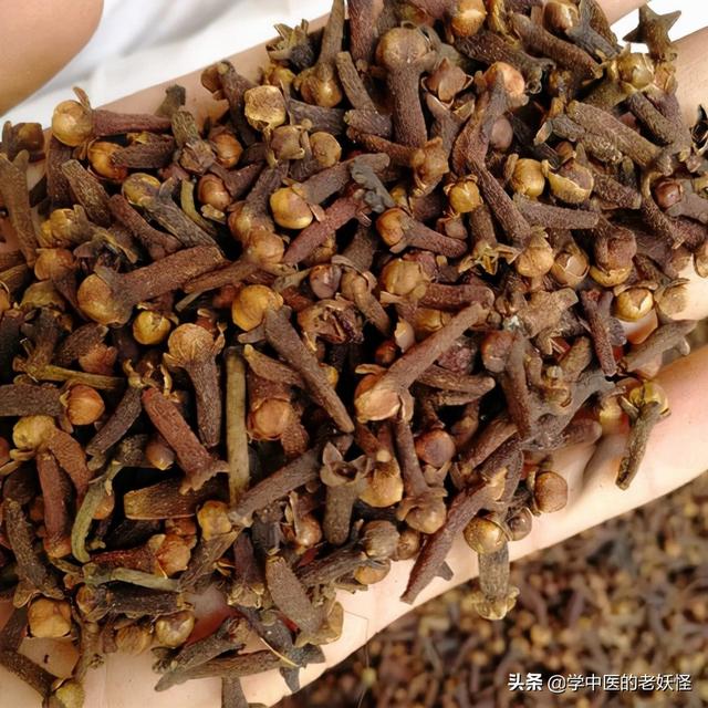 每日一中药——丁香