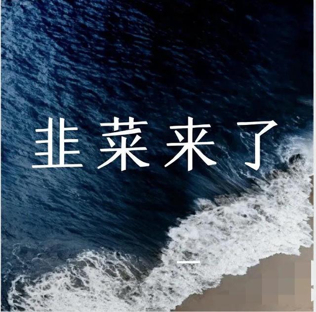 虾皮跨境电商坑人「虾皮跨境电商不想干了」
