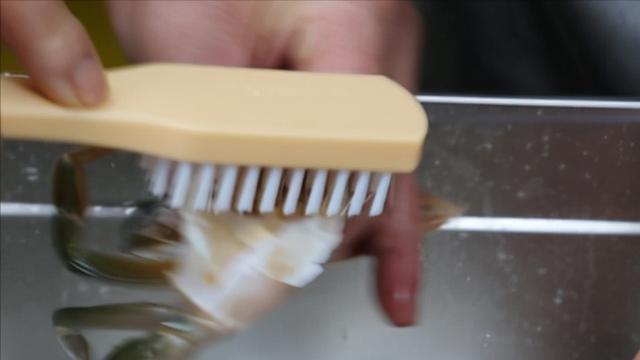 螃蟹怎么杀步骤（杀螃蟹的正确方法）