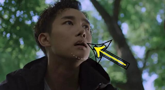 章涛二十不惑演的谁二十不惑章涛