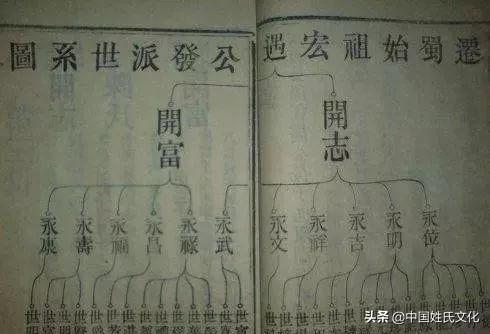 自己家的家谱怎么写