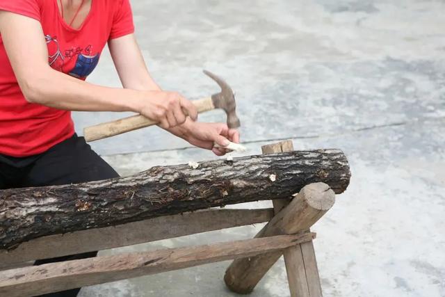 炒木耳 哪里的木耳最好