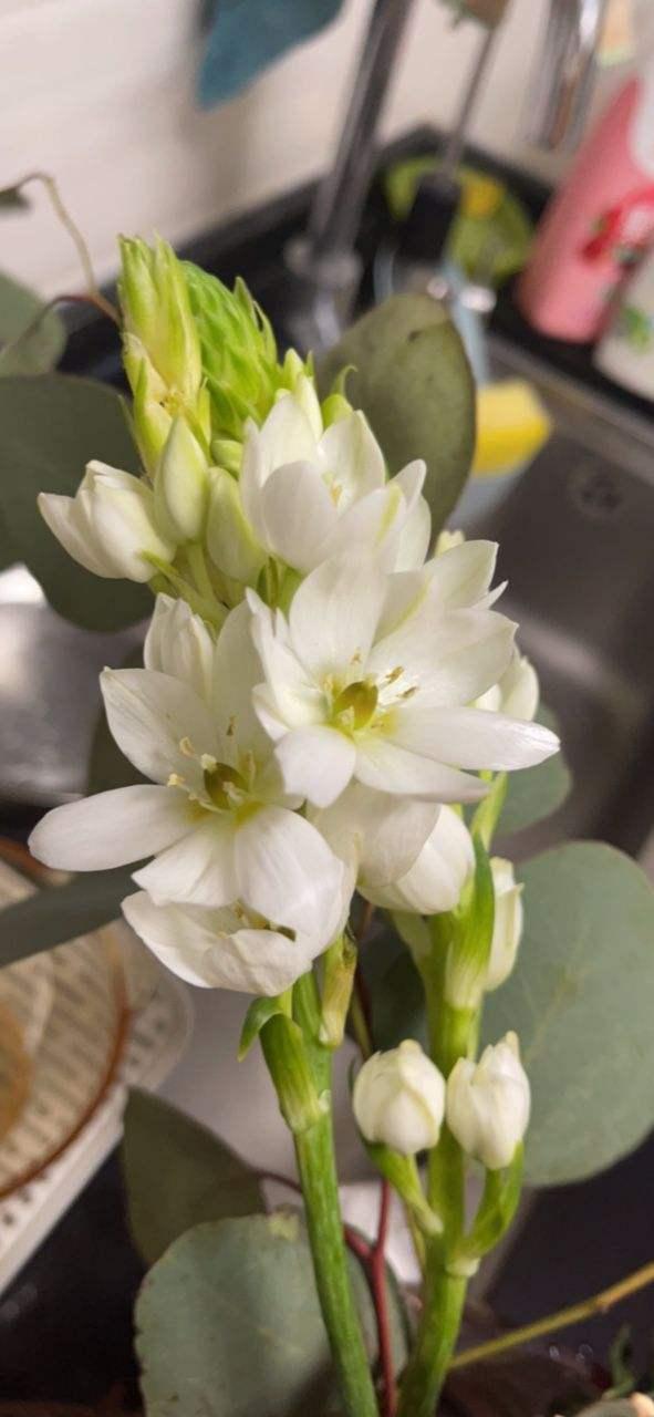 花