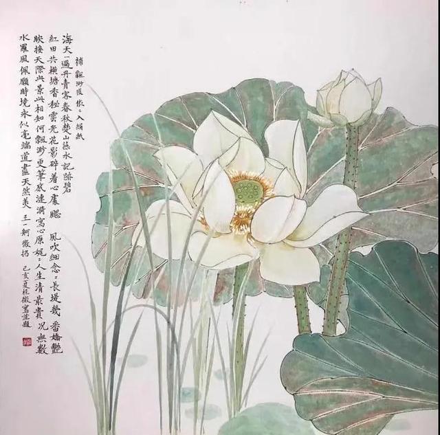 林草科普|中国药用植物 - 《本草纲目》