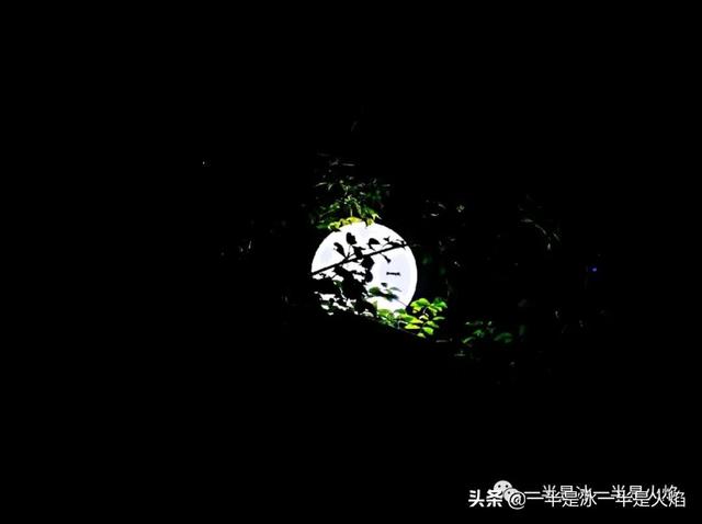 中秋：阴晴圆缺都休说，且喜人间好时节
