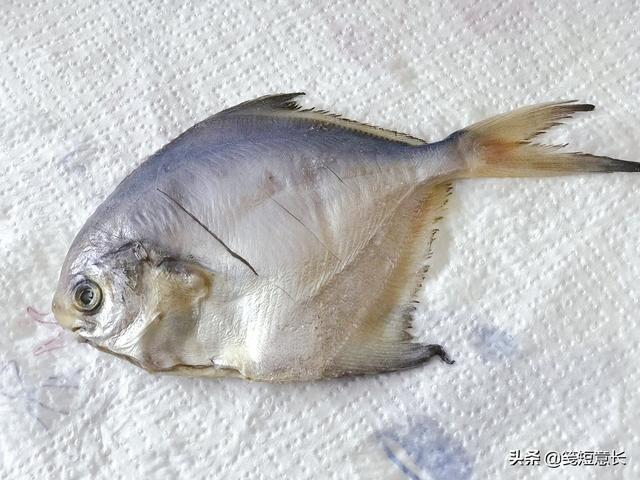 红烧平鱼 红烧平鱼