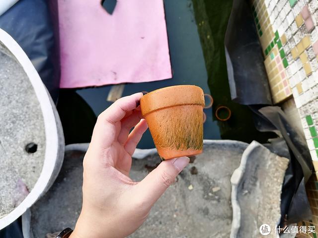 大蜗牛制砂机
