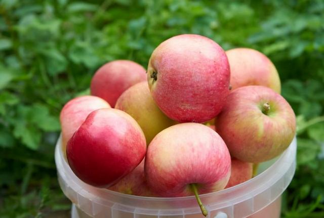 每天吃一个苹果，对血脂有什么影响？听一下医生怎么说