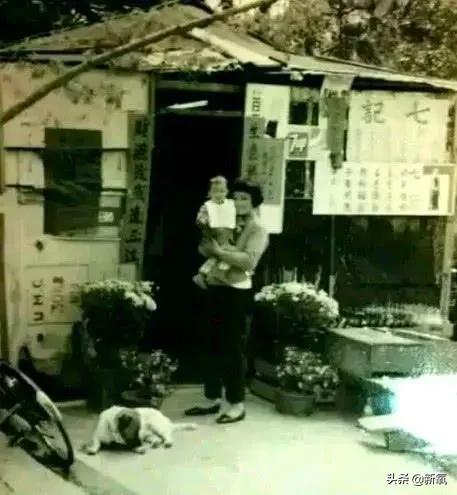 工程展图的含义