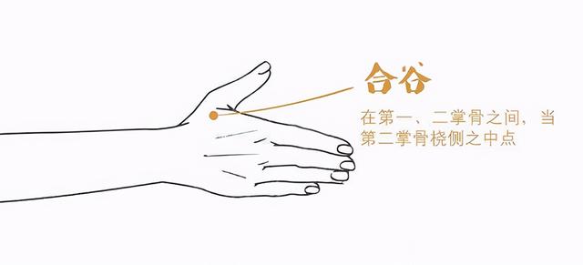 九种体质你到底属于哪一种，又该怎样调理？中医陈莹告诉您