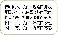 五脏属五行——臆测之玄学，严谨之科学？