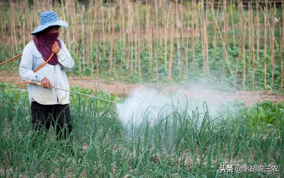 氟虫·乙多素，来自美国的杀虫剂，通杀50种害虫，最短死虫几分钟3