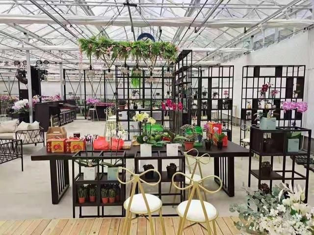 福州鸿展园林工程