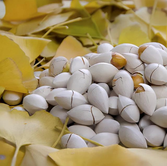 今日小雪丨天愈冷，寒更甚！省名中医教你如何巧妙养生