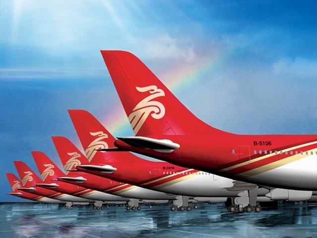 深圳航空也是国内航空公司中的佼佼者.2020年度,深航:营业收入173.