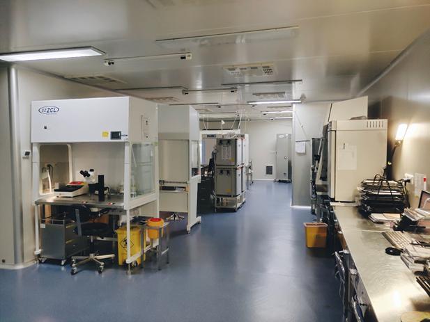 今天是“世界胚胎学家日”，图文揭秘试管婴儿的全过程