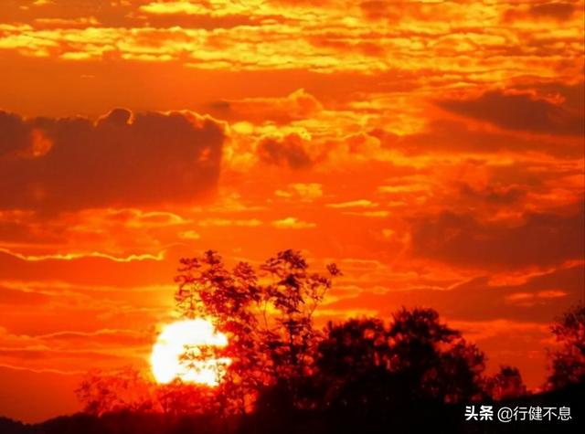 刘禹锡的诗全集（刘禹锡著名的十首诗）