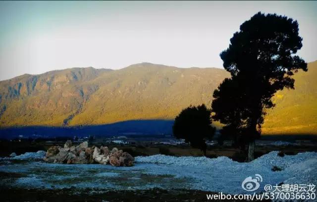 临沧轮式洗砂机报价