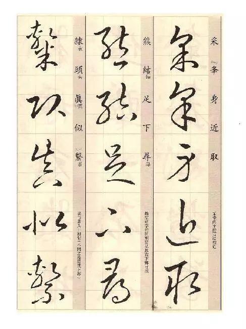 草的拼音