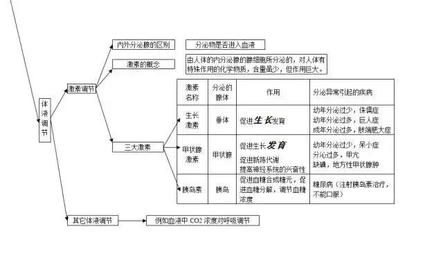 初中各科思维导图全汇总（语文、数学、地理、历史、化学、生物）