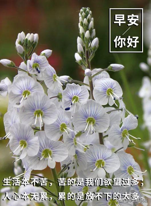 2021年1月5日早安2021年1月每天问候语