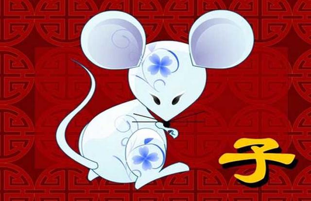 九牛一毛是什么生肖
