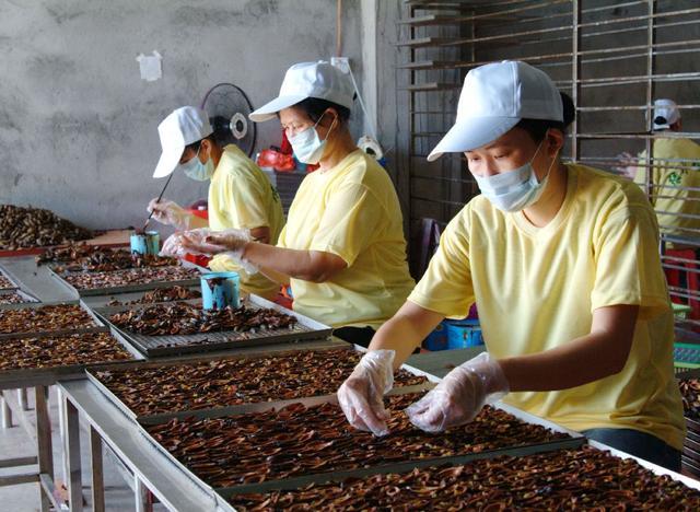出手了！国家这次对槟榔“下狠手”，800亿产值背后是巨大的隐患