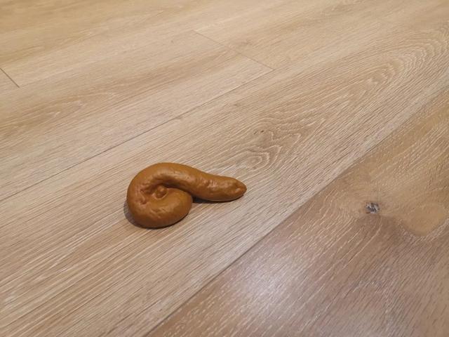 平盘过滤机过滤盘
