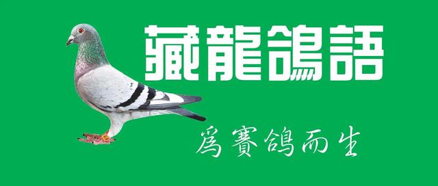 哈密通用螺旋洗砂机哪家省钱