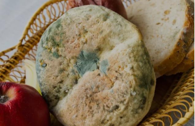 隔夜菜不能吃吗？医生解释：除了这4种，其他或可放心吃